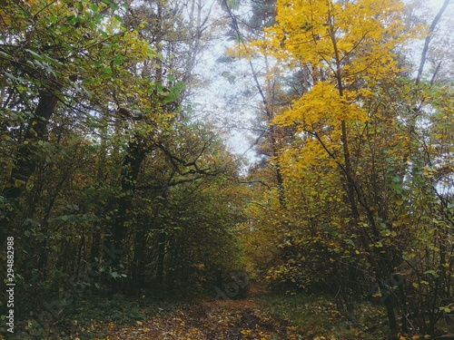 Autumn nature landscape in Russia