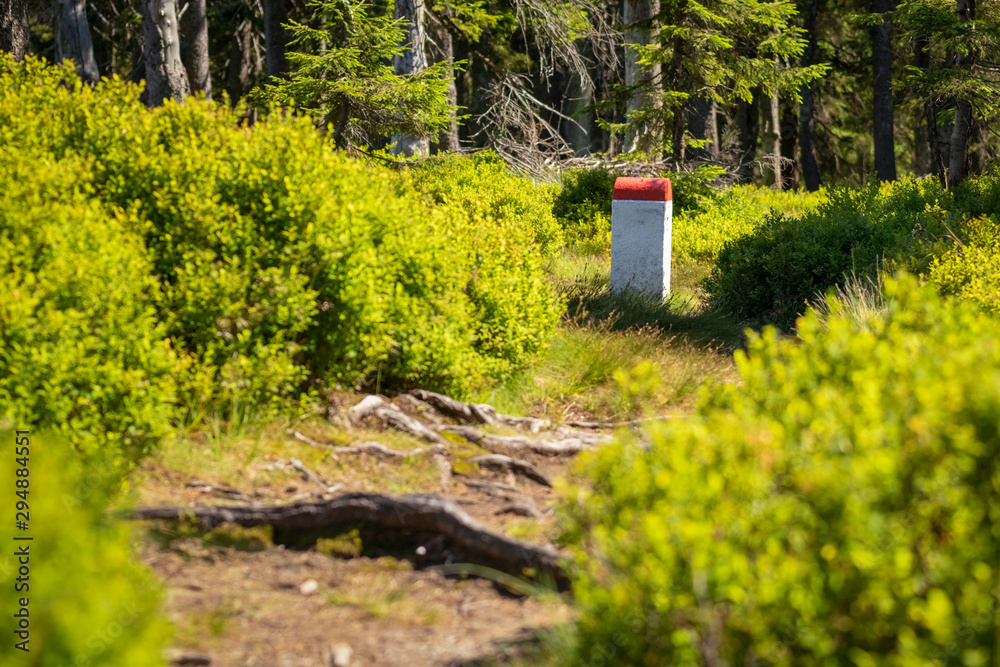 Czech border pillar red and white color, at the boundary of Poland and Czech Republic. Forest scene.