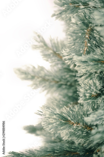 Merry Christmas and Happy New Year  Christmas tree winter snow on white background