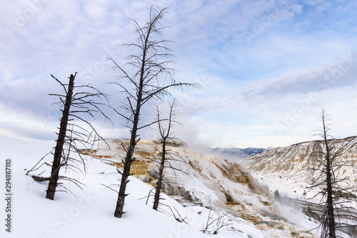 Mammoth Hot Springs in Winter - Yellowstone