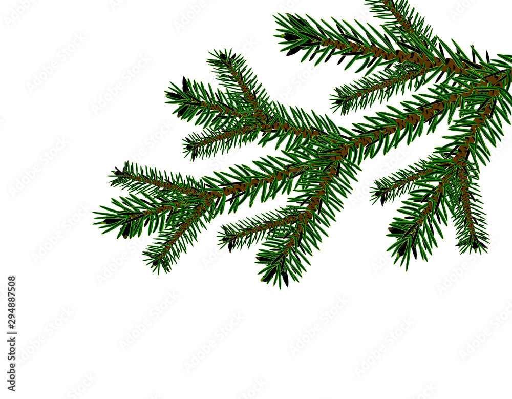 Obraz premium Christmas, New Year. Cards, business cards, invitations. Realistic Christmas tree branch in green. illustration