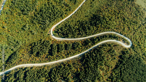 Top View of Rural Road  Path through the green forest and countryside. Autumn forest aerial drone view. Sunny day
