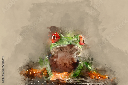 Digital watercolor painting of red eyed tree Boophis Luteus frog with blurred green background photo