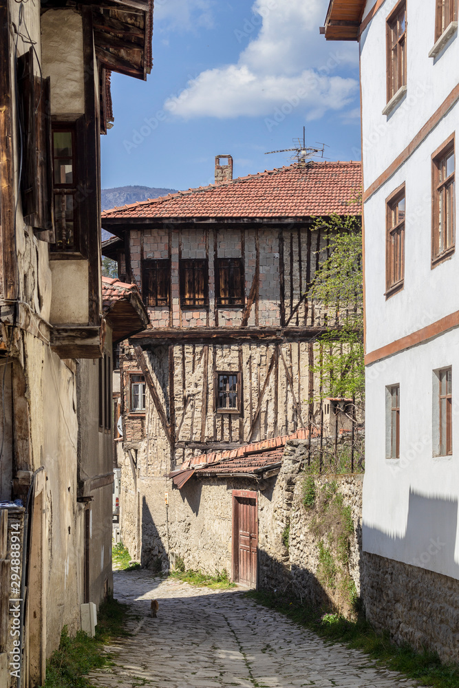 Fototapeta premium Vertical frame of old traditional street with wooden and stone masonry buildings from rural region