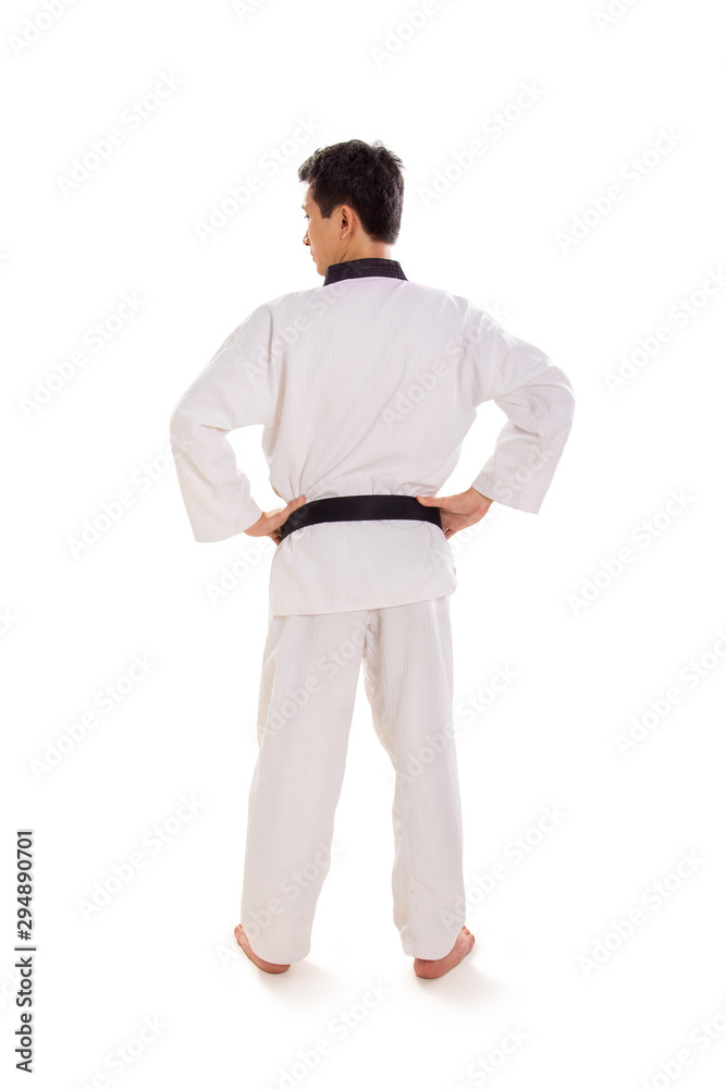 Tae-kwon-do champion pose, back shot portrait Tae-kwon-do champion pose, back shot portrait