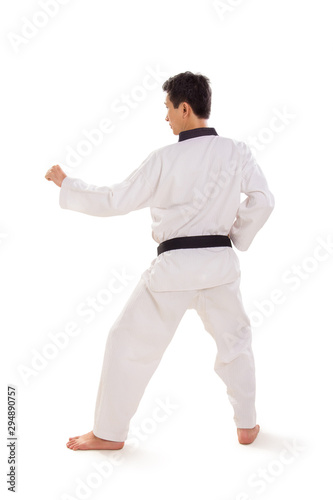 Male taekwondo stance full length rear view © pepscostudio