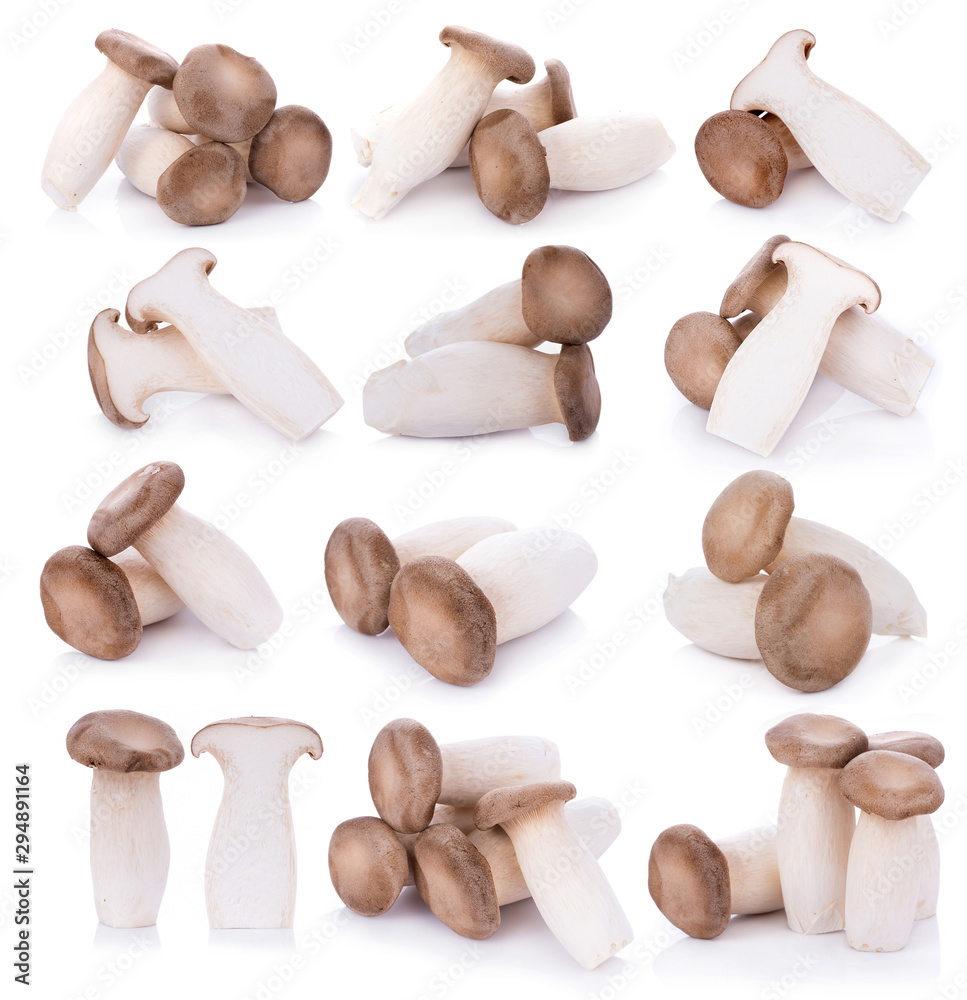Fototapeta premium King oyster mushroom Pleurotus eryngii on white background