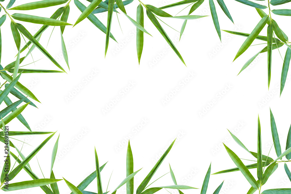 Naklejka premium background with bamboo