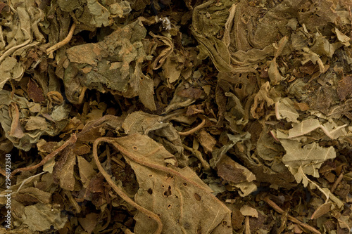 Dried Patchouli (Pogostemon cabin)