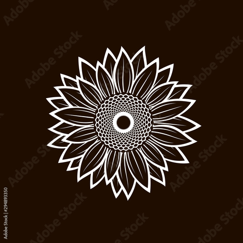 white illustration with flower of sunflower isolated on black background
