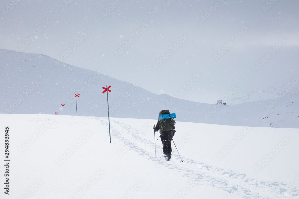 Woman skiing by markers on Kungsleden trail in Lapland, Sweden Woman skiing by markers on Kungsleden trail in Lapland, Sweden