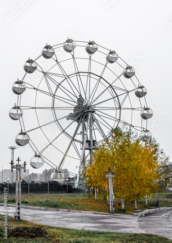 Attraction Ferris wheel with bright yellow autumn tree against the gray sky
