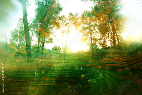 Fototapeta Naklejka Na Ścianę i Meble -  art concept of double exposure in nature. forest and fall colors