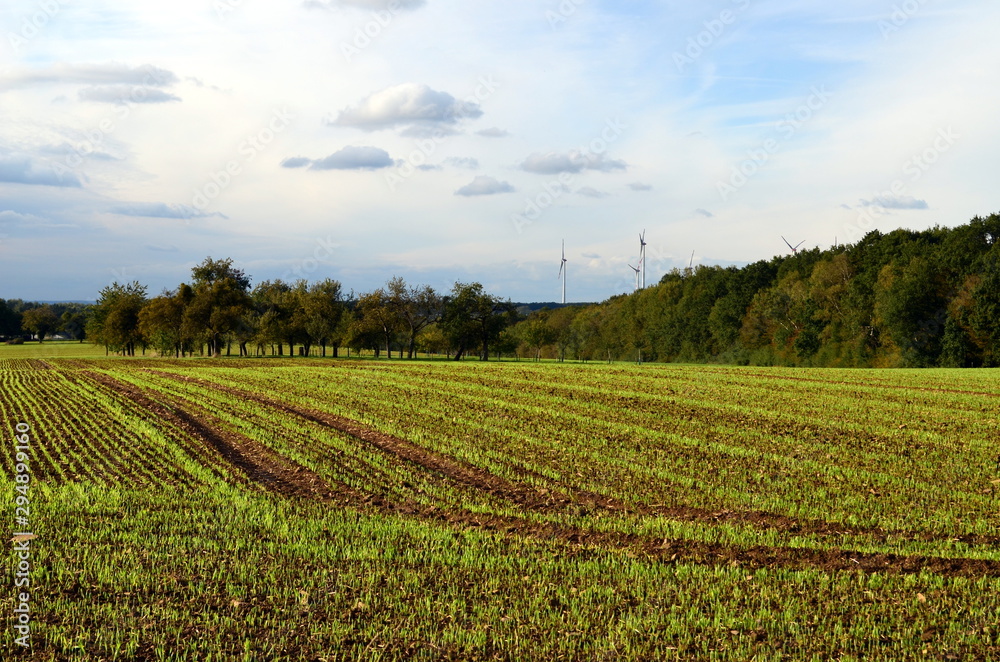 Ländliche Landschaft mit Windrädern im Saarland