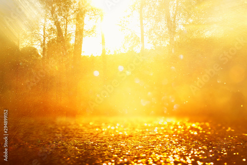 concept background photo of light burst among trees and glitter golden bokeh sparkles