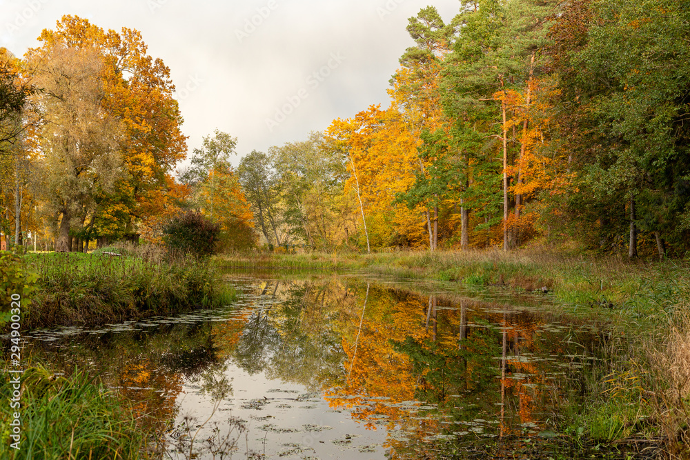 Lush autumn scene with colourful trees and pond and reeds in October in Latvia