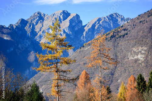 autunno sulle montagne delle Dolomiti bellunesi photo