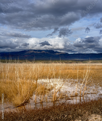 Dramatic sky at Dead trees at low water at Roosevelt Lake at Schoolhouse campground at Tonto National Forest, AZ, USA