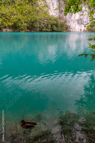 Plitvice lake one of the most famous National Park in Croatia © danmal25