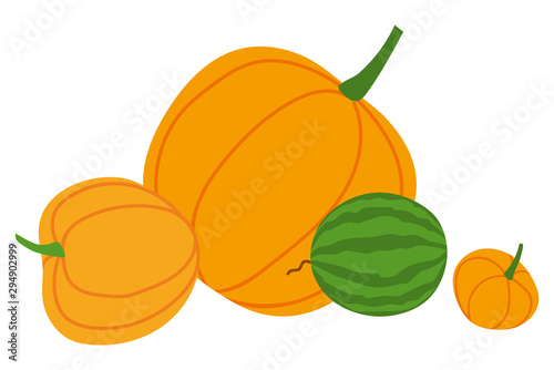 Pumpkin or squash and watermelon, autumn harvest or crop, farming and agriculture isolated vegetables. Natural food and organic product, cooking. Vector illustration in flat cartoon style