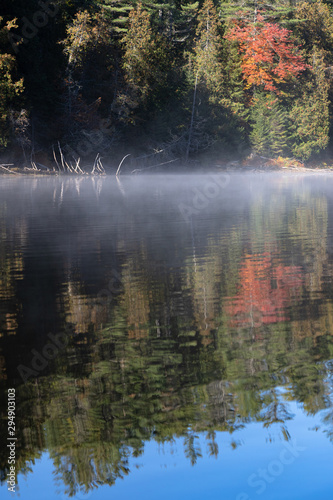 Reflections of a forested shoreline on a misty autumn morning in Algonquin Park Ontario