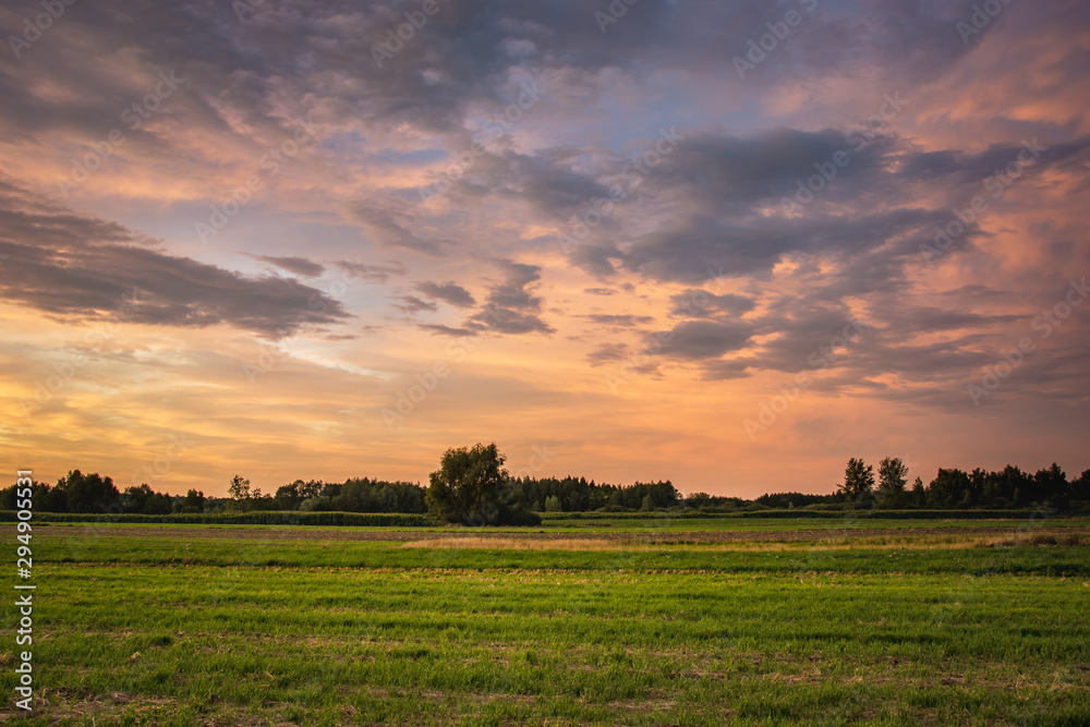 Green field, horizon and colorful clouds after sunset