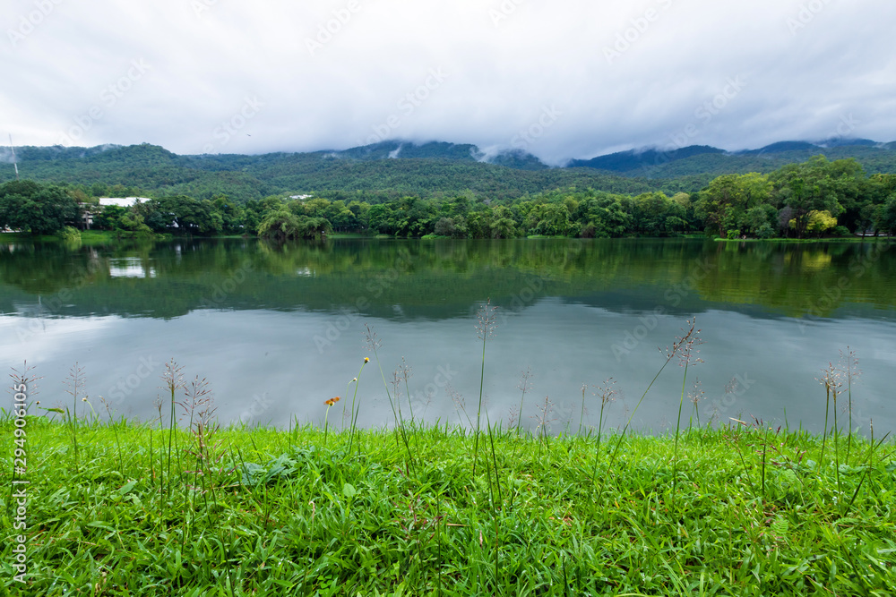 green grass landscape lake views at Ang Kaew Chiang Mai University in nature forest Mountain views spring blue sky background with white cloud.
