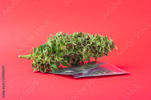 Obraz na plátně marijuana and condoms on red background,contraception for intercourse with canna