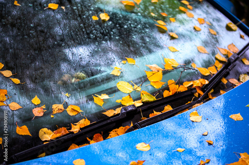 fallen birch leaves sticks on ultramarine blue car bonnet and windscreen - close up autumn selective focus background photo