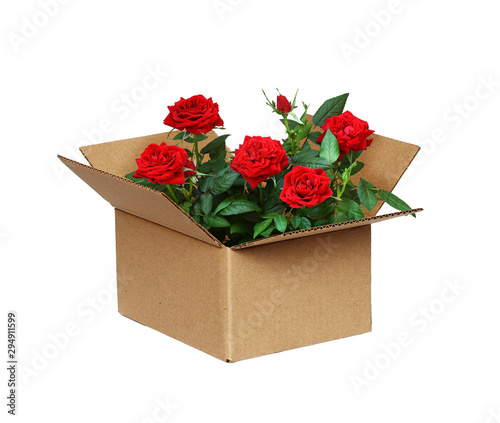 Opened craft cardboard box ...