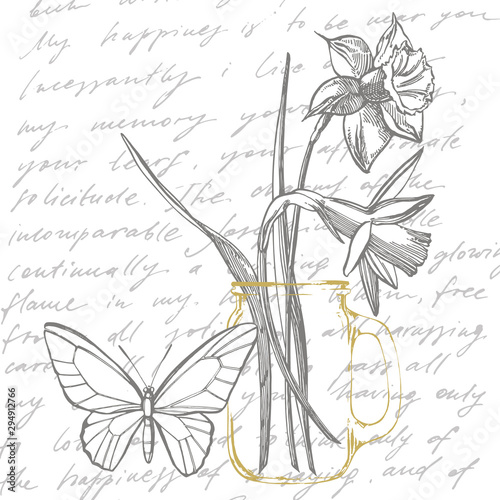 Daffodil or Narcissus flower drawings. Collection of hand drawn black and white daffodil. Hand Drawn Botanical Illustrations. Handwritten abstract text