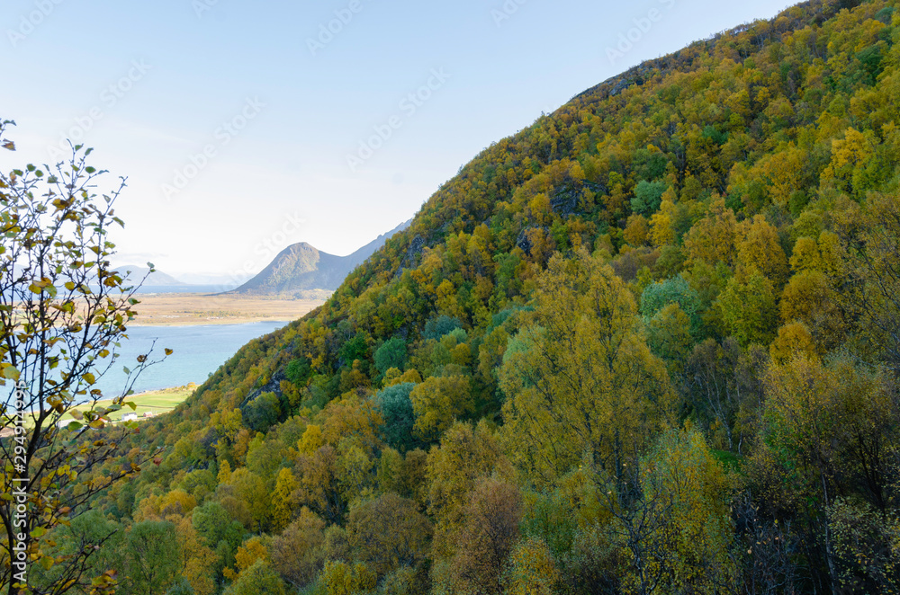 autumn in Norway autumn in Norway
