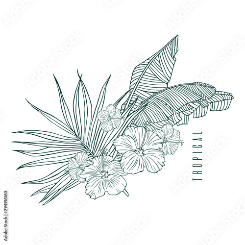 Tropical leaves. Palm, banana leaf and hibiscus flower. Beach vacation, clothing label, fashion and beauty, outline illustrations for tourism and the travel industry.