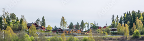 Photography landscape with trees
