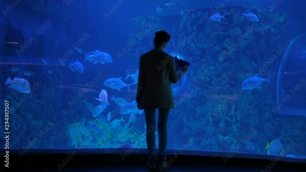 Underwater life, tourism, education and entertainment concept. Back view of woman silhouette looking at fish in large public aquarium tank at oceanarium with blue low light illumination