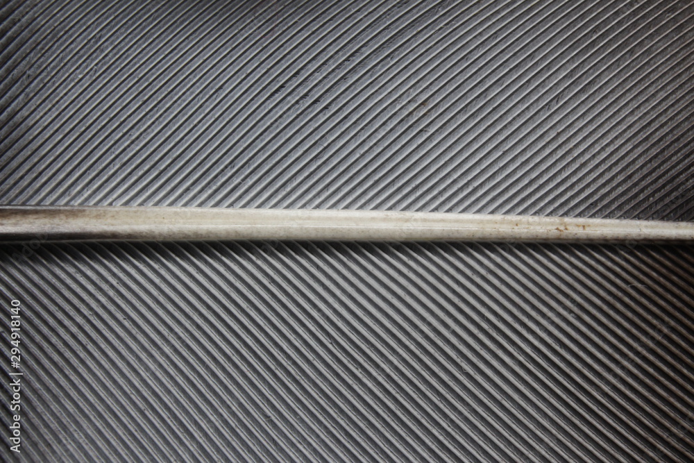 Obraz premium Macro photography of a feather