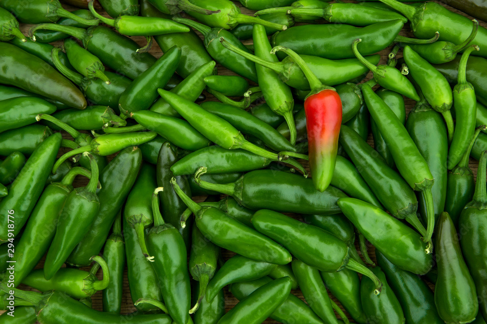 Large crop of  hot chili peppers