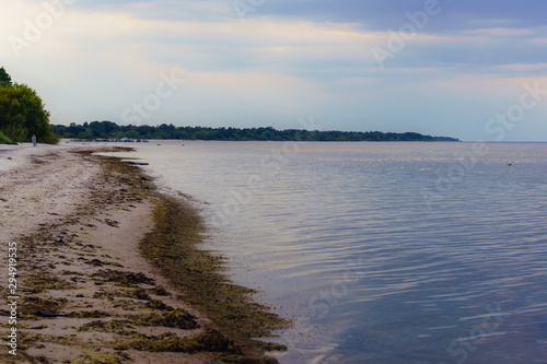 a lonely, Baltic Sea coastline on a summer evening; coastline along the sea, with seaweed washed off the coast