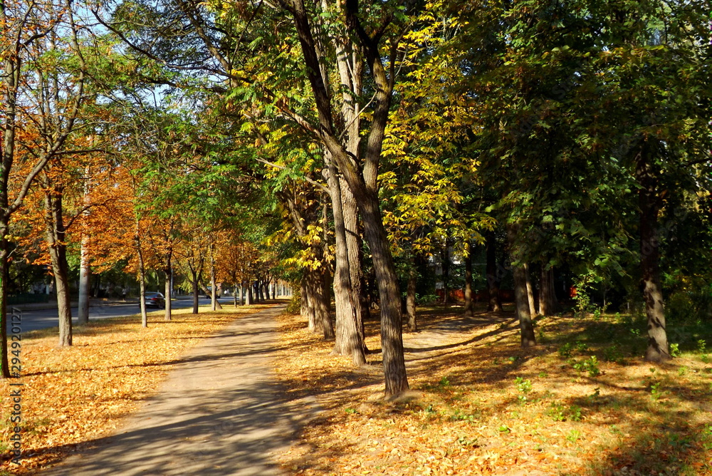 autumn in the park