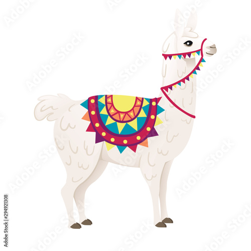Cute llama wearing decorative saddle with patterns cartoon animal design flat vector illustration isolated on white background side view