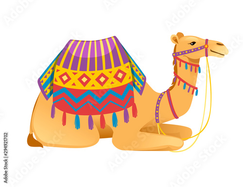 Cute two hump camel with bridle and saddle sitting on ground cartoon animal design flat vector illustration isolated on white background