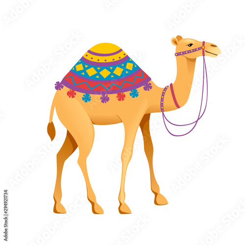 Cute one hump camel with bridle and saddle cartoon animal design flat vector illustration isolated on white background