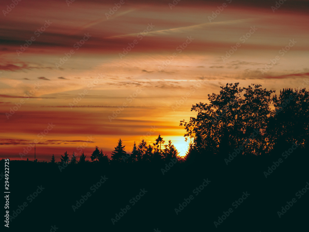 Obraz premium it a young night