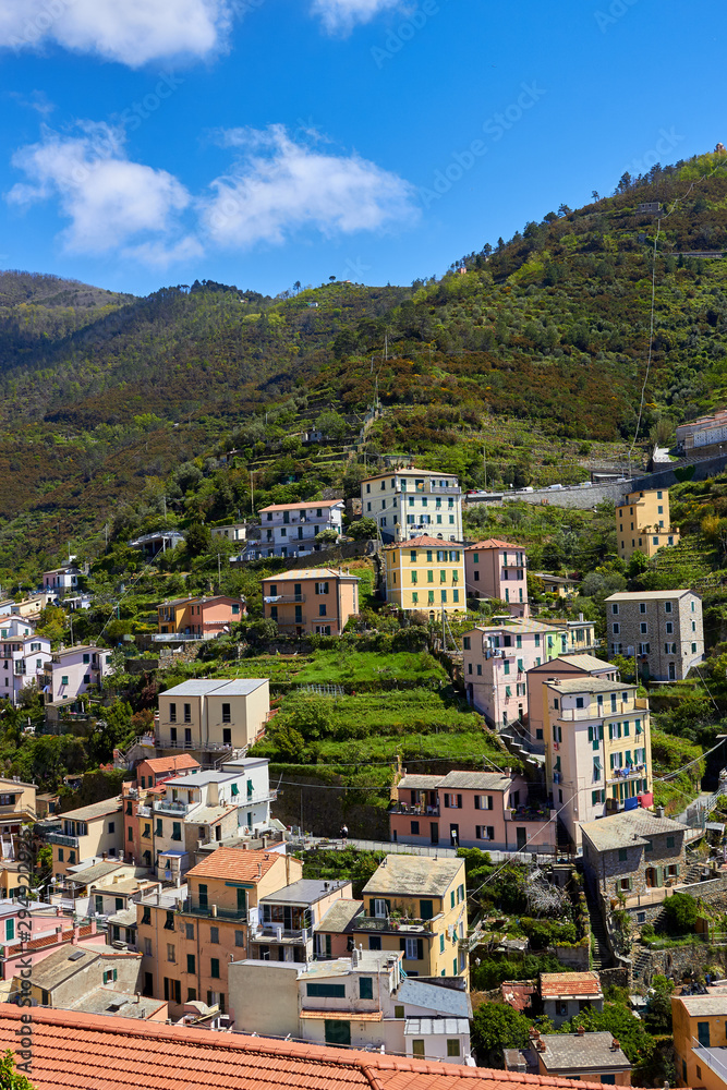 Obraz premium View of the houses in the Riomaggiore town. One of five famous centuries-old colorful villages of Cinque Terre National Park in Liguria, region of Italy.