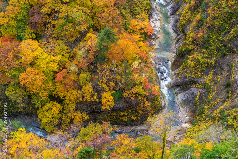 Aerial view of Autumn Fall River Landscape