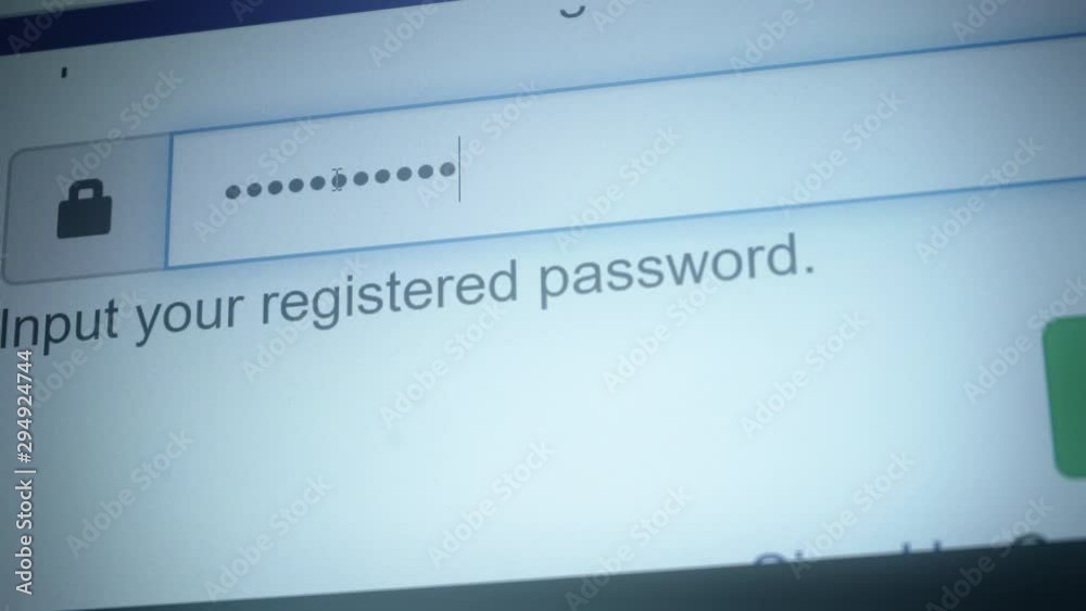 Enter the password for the website in the Internet. Encryption screen With flashing cursor. Enter the password for the website in the Internet. Encryption screen With flashing cursor.