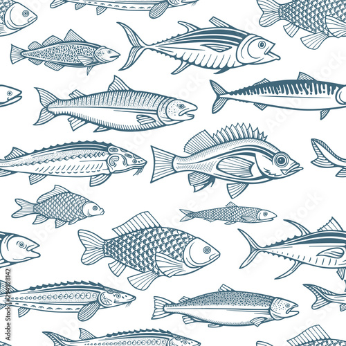 Fishes seamless pattern. Different fishes endless hand drawn texture. 
