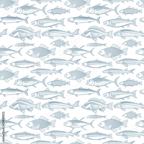 Fishes seamless pattern. Different fishes endless hand drawn texture. 