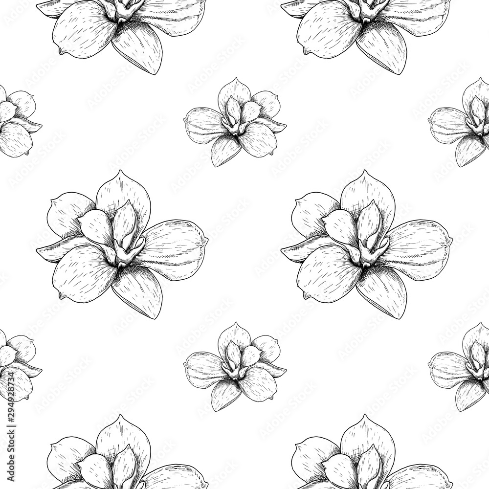 Plakat Seamless pattern of beautiful magnolia, drawing spring flower isolated on white background. Sketch hand drawn