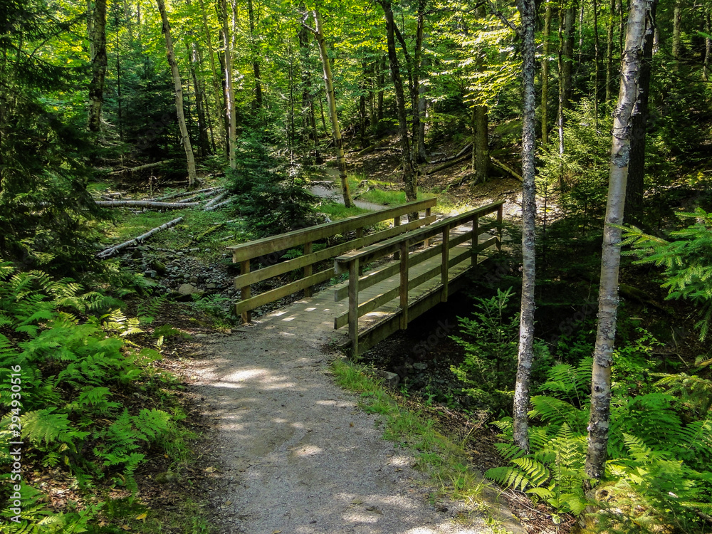 Wooden Bridge Over a Small Stream in Canada Forest Wooden Bridge Over a Small Stream in Canada Forest